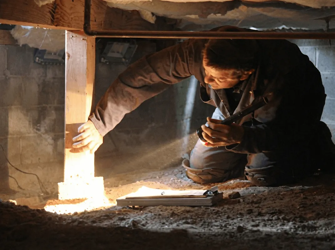 A professional inspecting wooden beams under the floor of a structure in Lincoln, NE